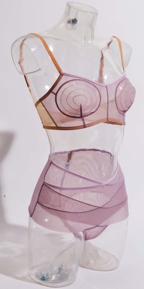 Image of Iris Brief 