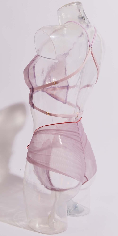Image of Shell Brief 