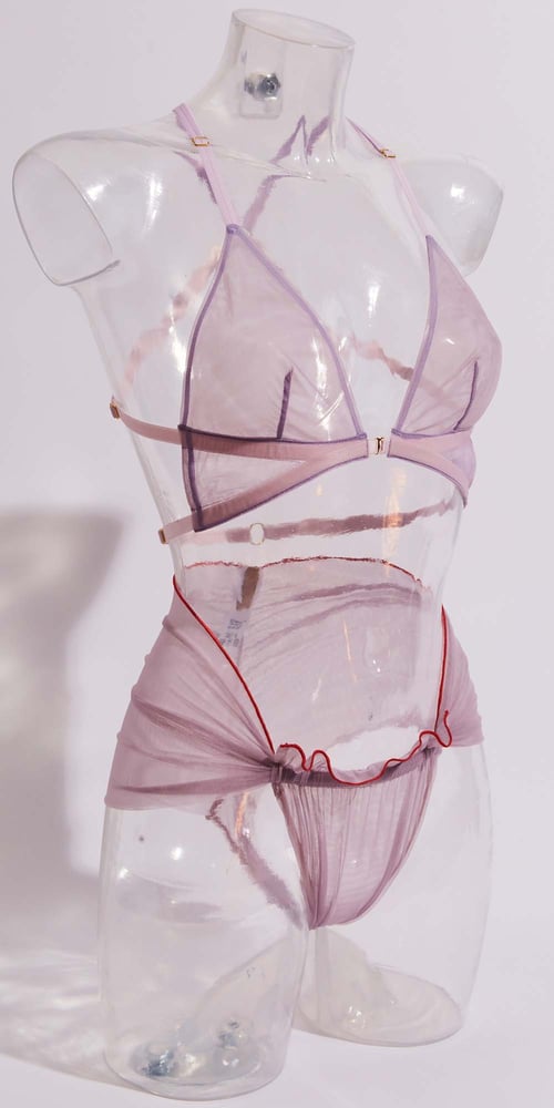 Image of Shell Brief 