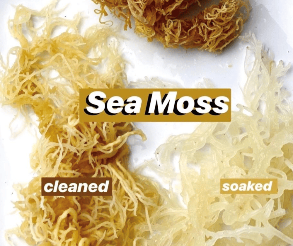 Image of Seamoss 