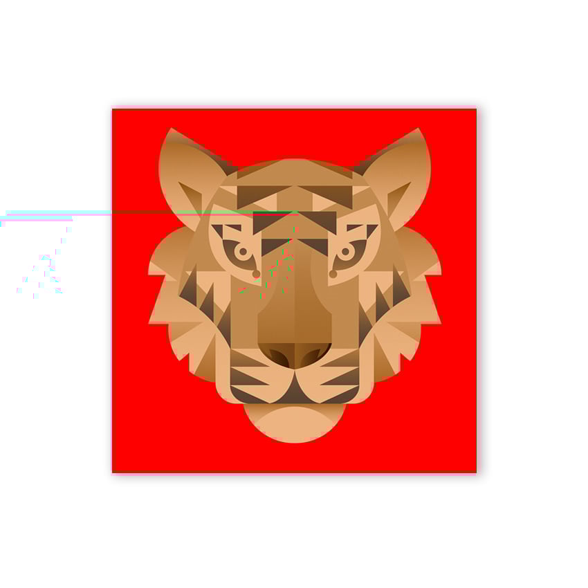 Year of the Tiger