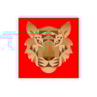 Year of the Tiger