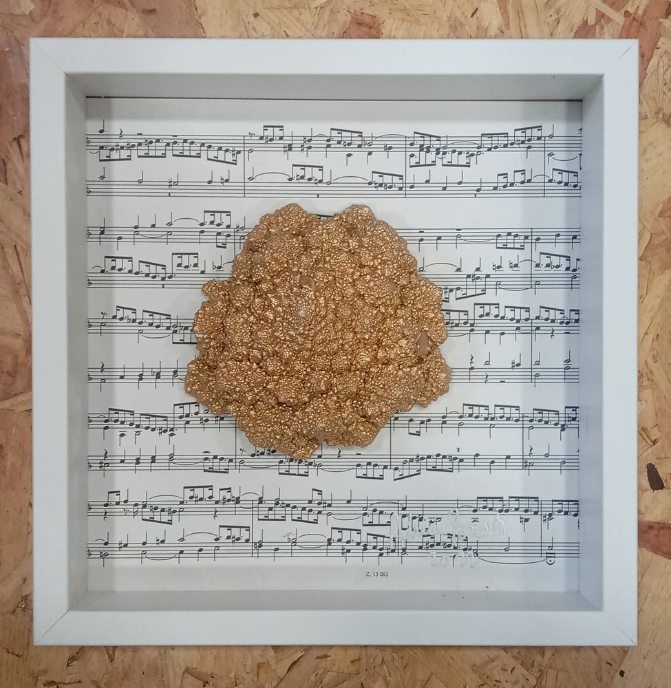 Image of CONCERTO II