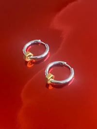 Image 1 of BOLD GOLD NUT EARRINGS