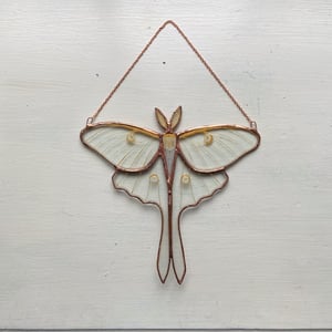 Image of Golden Fauna - Luna Moth