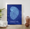 Wildlife Art Print Poster No 02 - Ocean Life Ornament