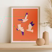 Image 2 of Wildlife Art Print Poster No 08 - Seagulls