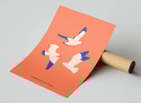 Image 3 of Wildlife Art Print Poster No 08 - Seagulls