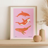 Image 2 of Wildlife Art Print Poster No 13 - Whales