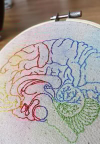 Image 2 of Rainbow Brain (5")