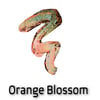 Orange Blossom 