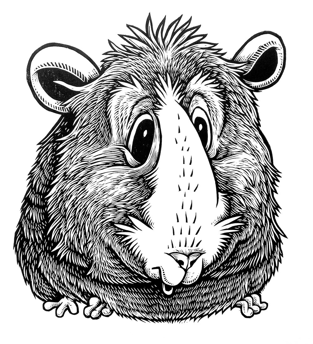 Guinea Pig T-shirt (A3) **FREE SHIPPING**