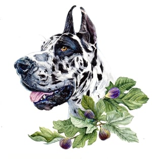 Image of Custom Mini Watercolor Sketch