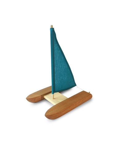 Image of Catamaran Boat