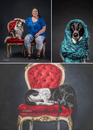 Image of PET PORTRAITS IN STUDIO