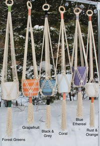 Image 2 of Rope Colour-Block Plant Hangers