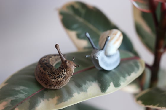 Image of The Slug & The Snail