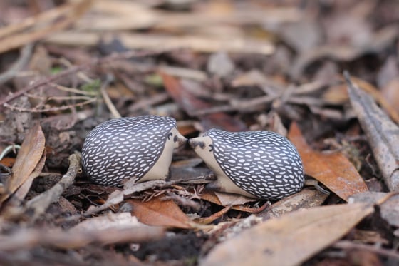 Image of Hedgehog Kisses