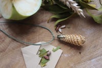 Image 3 of Fertility and Abundance amulet with mistletoe leaves and apple seeds