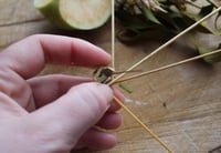 Image 2 of Fertility and Abundance amulet with mistletoe leaves and apple seeds