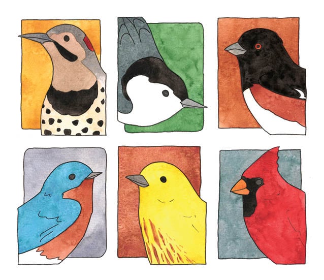Image of Birds of All Seasons Card Set 7