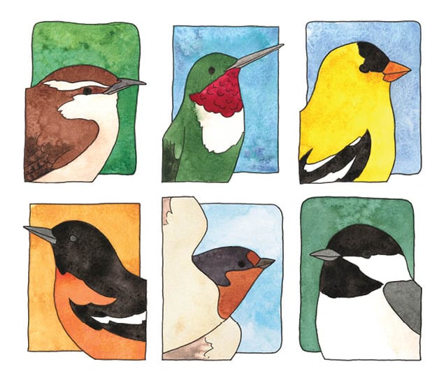 Image of Birds of All Seasons Card Set 8