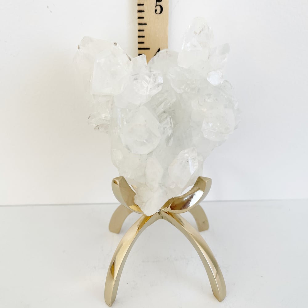 Image of Apophyllite no.34 + Brass Claw Stand