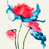 Poppies  - Artwork - Canvas Print 