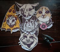 Cats Stickerpack