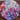 Fuschia Blooms Artwork on Timber HALF PRICE