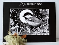 Image 2 of Coaltit - Meantán Dubh