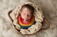 Image 4 of Newborn Session Fee