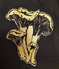 Chanterelle Patch