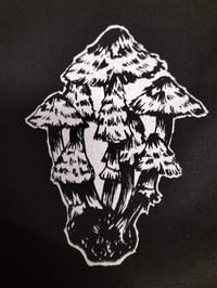 Shaggy Inkcap Patch