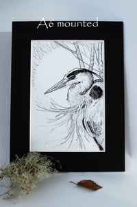 Image 2 of Heron and Birch