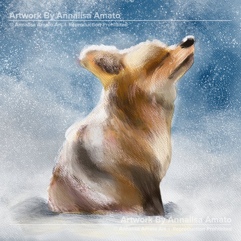 Sweet Fox - Artwork - Limited Edition Canvas Print 