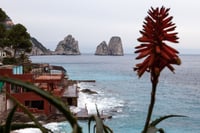 Capri