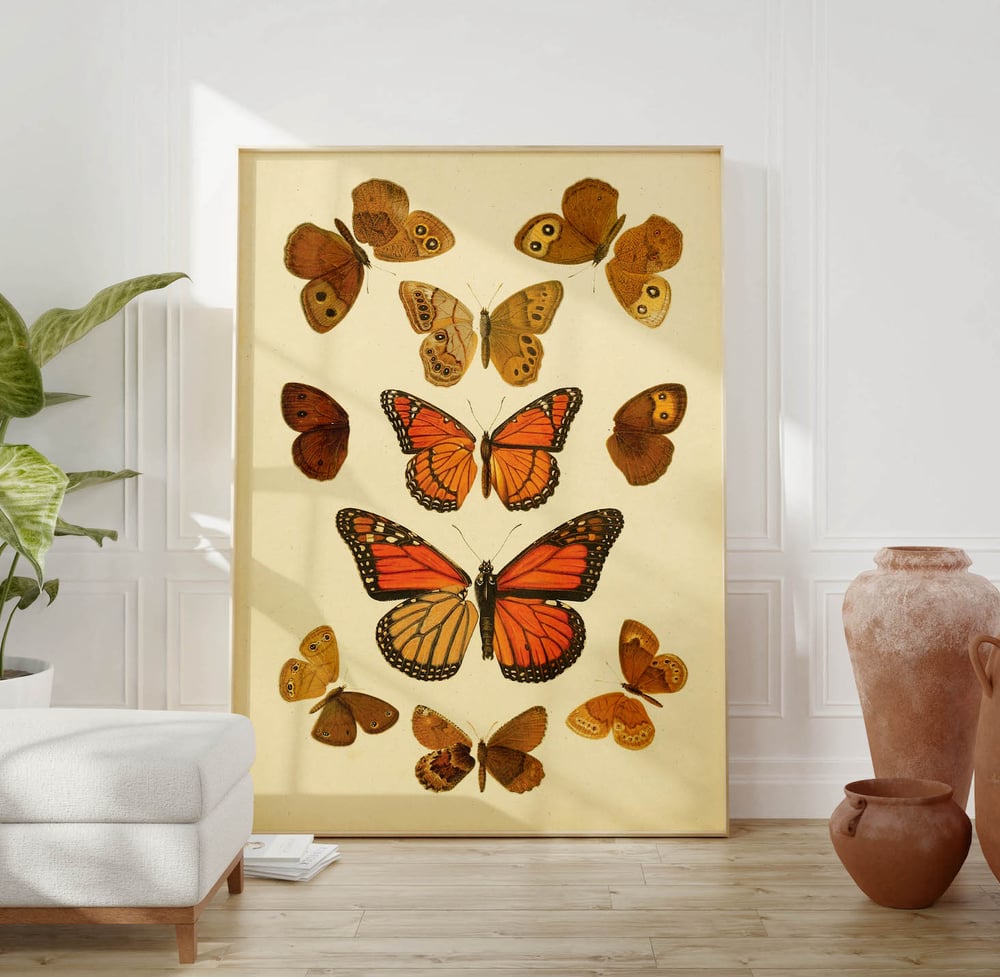 Vintage Animal Art Print Poster No 04 - Butterflies