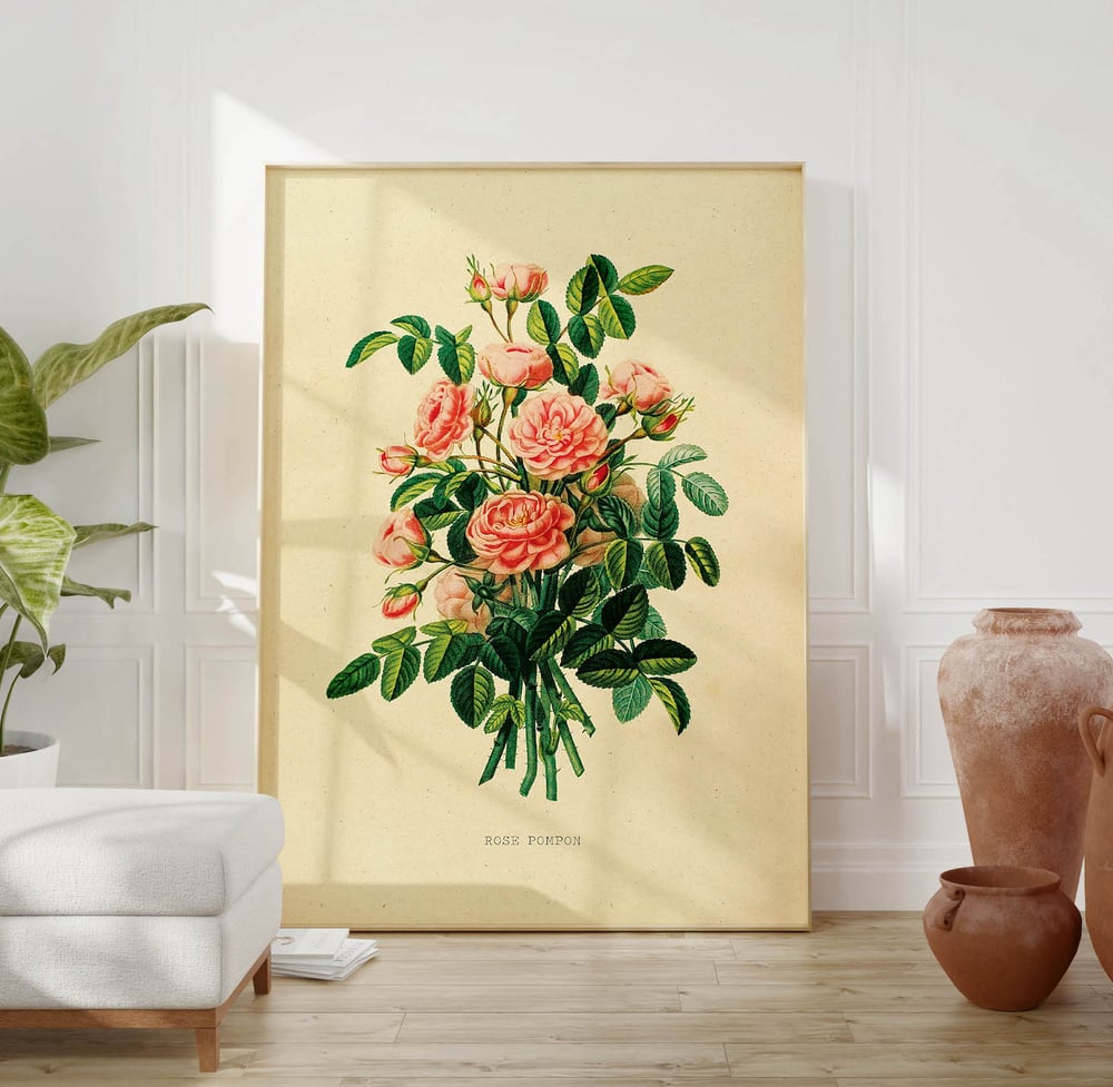 Vintage Floral Art Print Poster No 03 - Rose Pompon