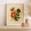 Vintage Floral Art Print No 04 - Reine-Marguerite, Aster Flower