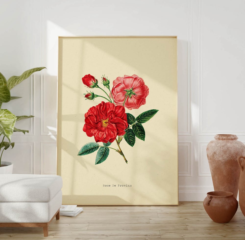 Vintage Floral Art Print Poster No 05 - Rose Flower