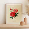 Vintage Floral Art Print Poster No 05 - Rose Flower
