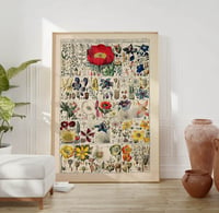 Image 1 of Vintage Floral Art Print Poster No 13