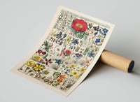 Image 3 of Vintage Floral Art Print Poster No 13