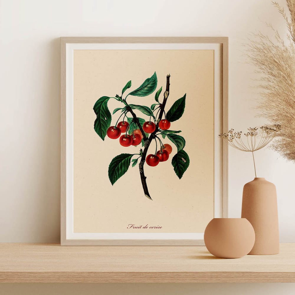 Vintage Kitchen Art Print Poster No 05 - Cherry Tree