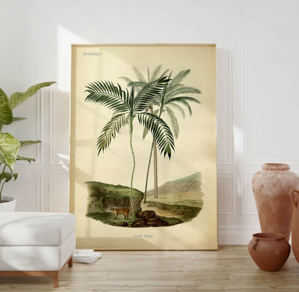 Vintage Nature Art Print Poster No 01 - Palm Tree