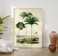 Image 1 of Vintage Nature Art Print Poster No 03 - Palms