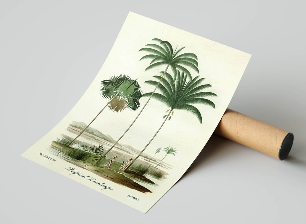 Vintage Nature Art Print Poster No 03 - Palms
