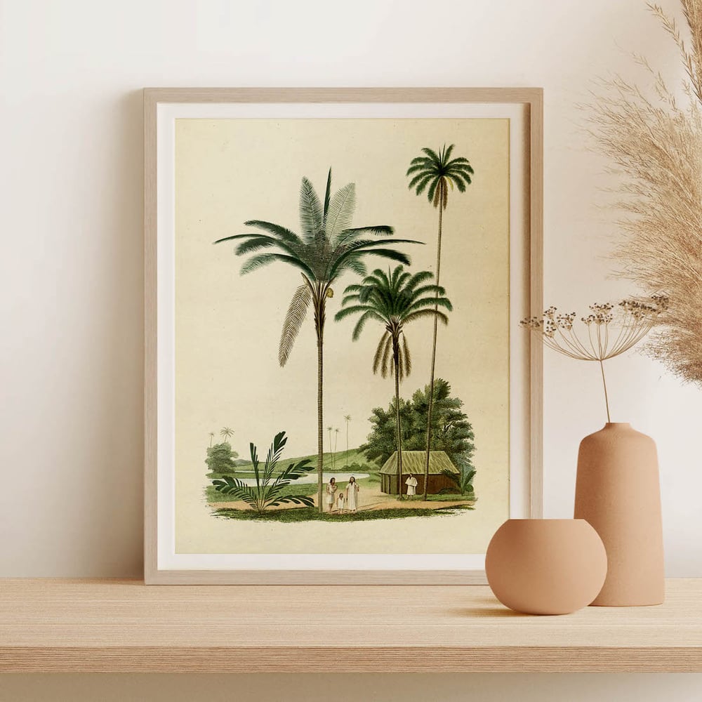 Vintage Nature Art Print No 04 - Tropical Countries
