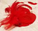 Image 3 of Vintage “Take Me To The Cotton Club” Mini Feathered Fedora